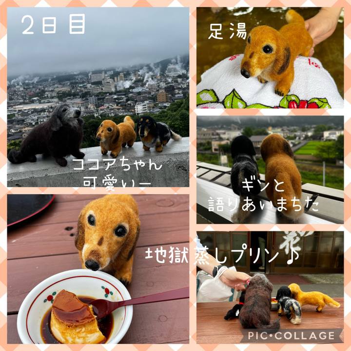 77922e10 b3bf 4e68 ae41 e225c40cc29a 1658406080534