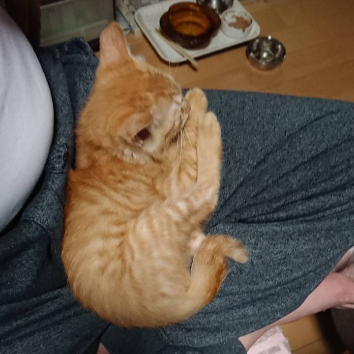 7792551a 80bd 4f29 bd06 1b035ede2a2b 1630664317940