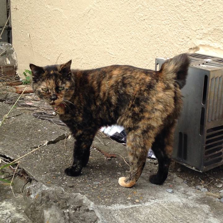 77928120 6e93 4fff ae94 b3497c6ca082 1509439158935