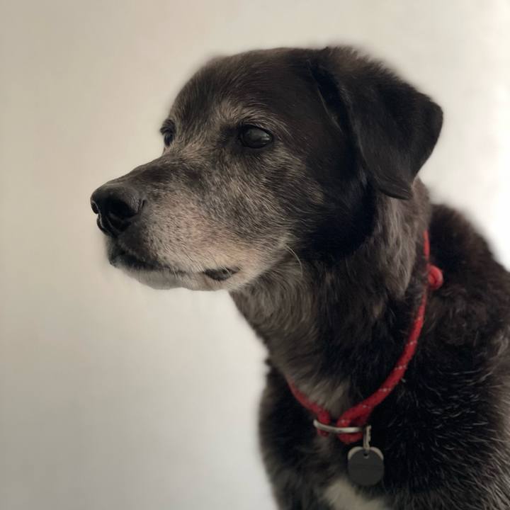 7792a1ad a668 4479 bce0 6cad57275f83 1757992867590