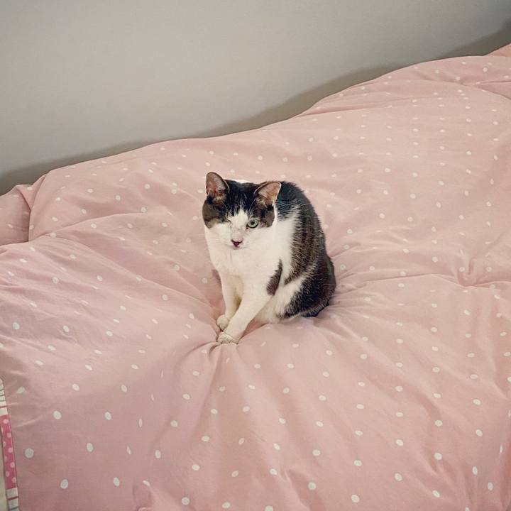 7792a55a a613 4127 aa9d 617aee242e24 1594252670586