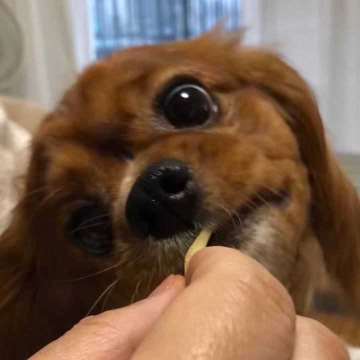 7792bcca c05f 4fd8 a9de bf0bb53a5e0a 1553898662413