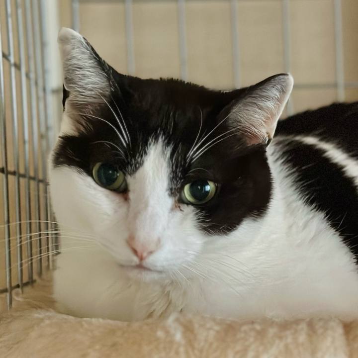 7792cbc7 5c3b 4c6a 962b ac03b046367b 1686624383629