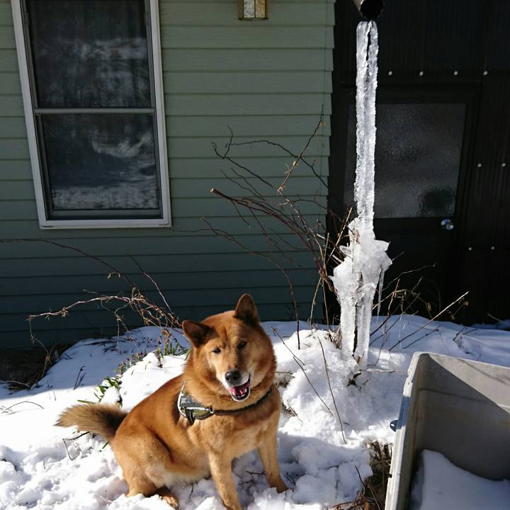 7792d0e0 015e 42b4 bb60 4b15c1ff9b0b 1517030437624