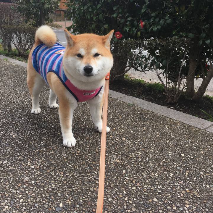 7792dcf4 fdde 4be1 9a67 c4dd159dde7d 1552190085434