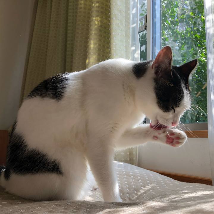 779311b0 8652 418f a8eb f53d44f28773 1697594630611