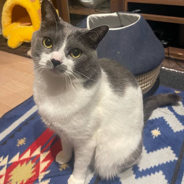 77931ccd b2a1 4c27 837c cb7516aea546 1680705256697