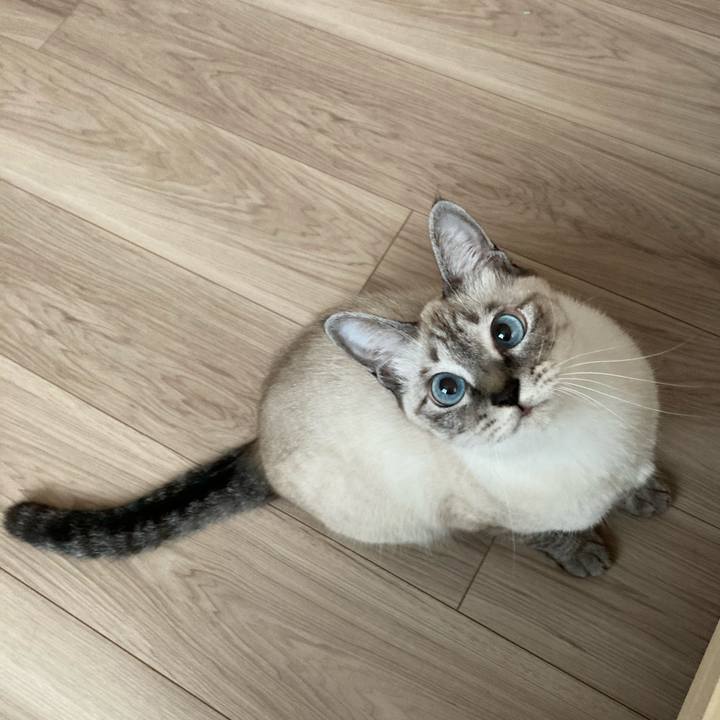 77932d84 5d3b 4474 aa30 bb33c36b7460 1602292577026