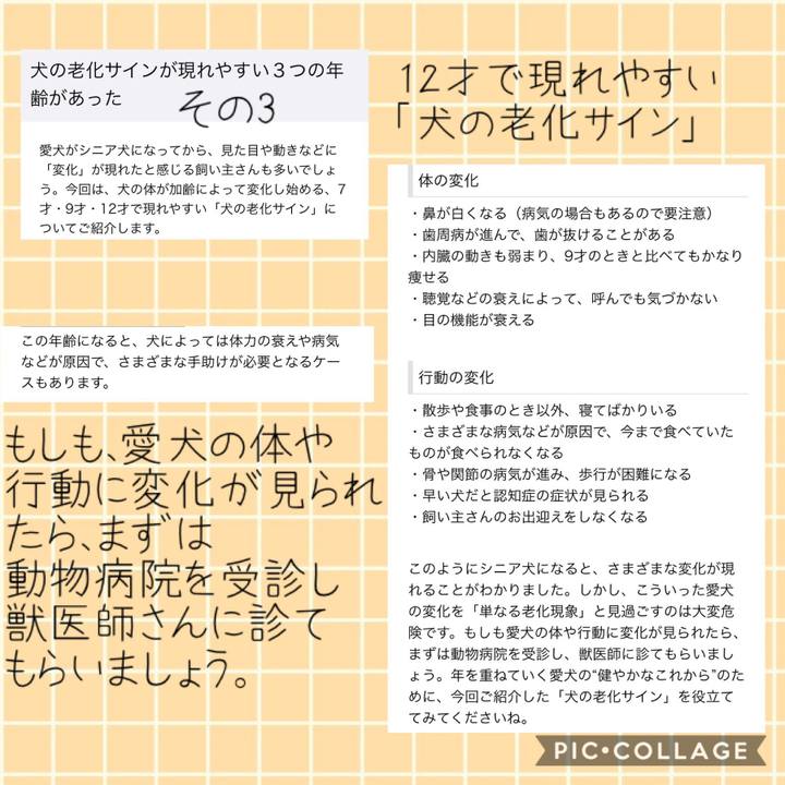 779353f5 cde9 47e9 a57b 0fdf389c5390 1541398817159