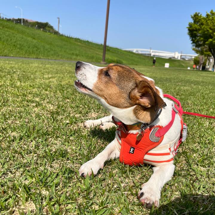 77937442 1019 4a08 9b87 c4ff24c15fbc 1713226593082