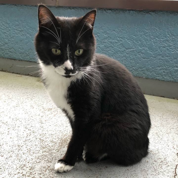 77938a23 91ad 4219 9ac4 012015c1b834 1591760975811