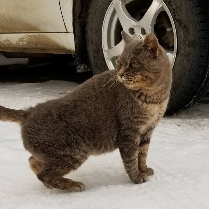 7793ba93 083c 4102 b901 9de664687dfc 1547967819480