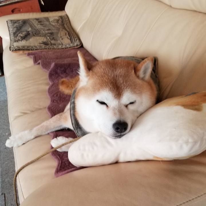 7793df4c 1e6e 44b3 9c14 72dfdac1933a 1646870203562