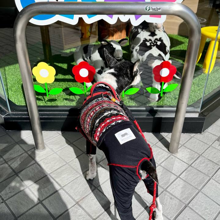 7793f90a f044 43ec 9023 419e3b5876a4 1650069382329