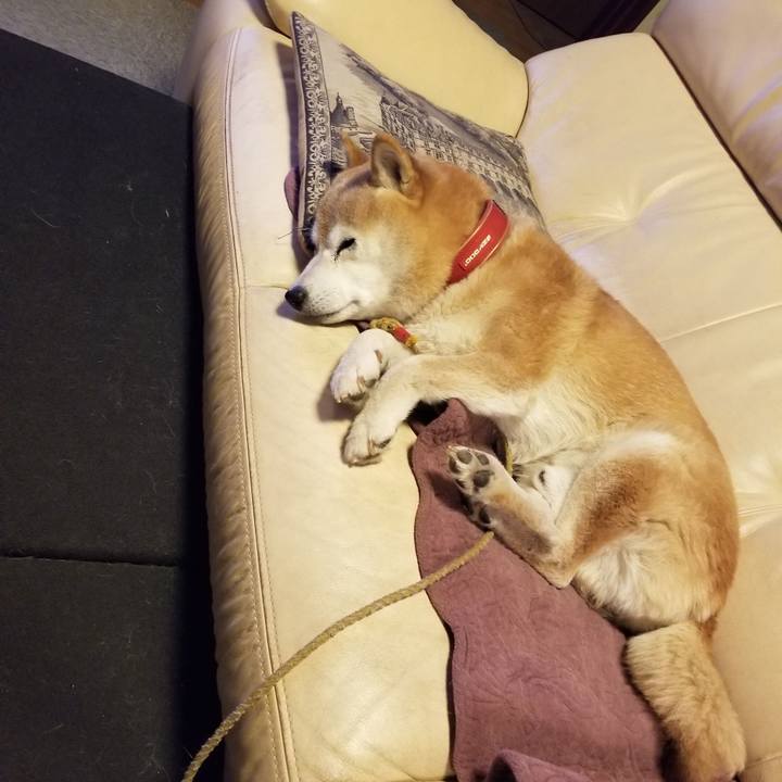 77943b78 99c9 49f2 9982 2c441e32470b 1733741621235