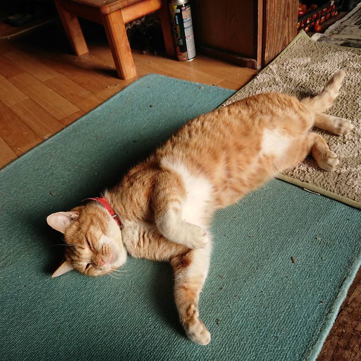 77944279 e30c 44b2 af05 687697239ed0 1576285449369