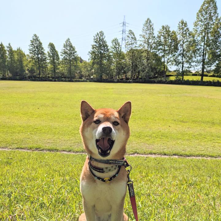 7794616e 22d6 4590 bca0 2af1d6ebc13a 1715907167637