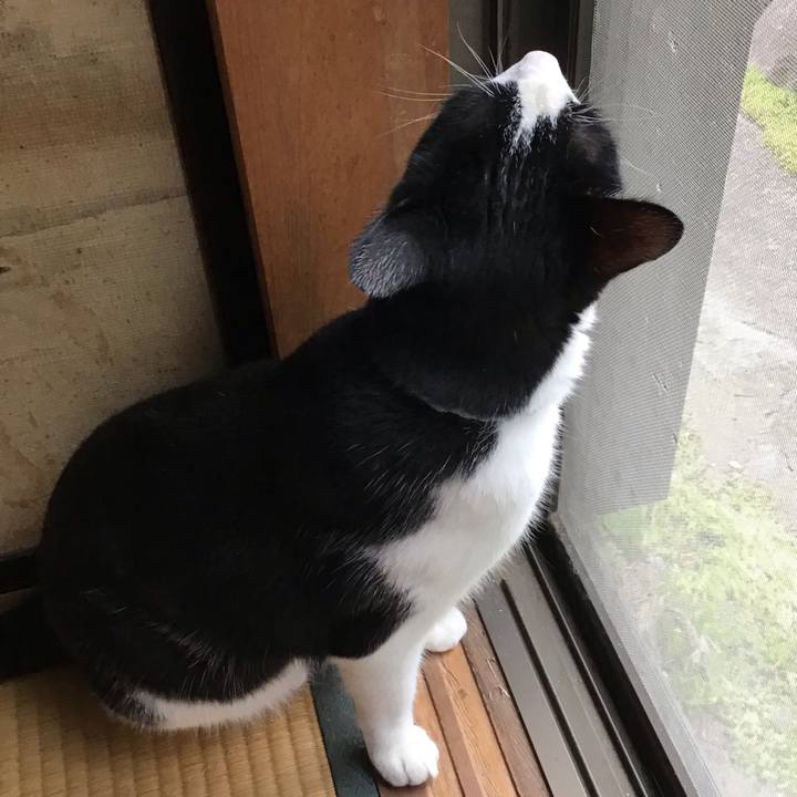 77947c31 95e5 473b a06e f901c8d2d0a1 1688811885009