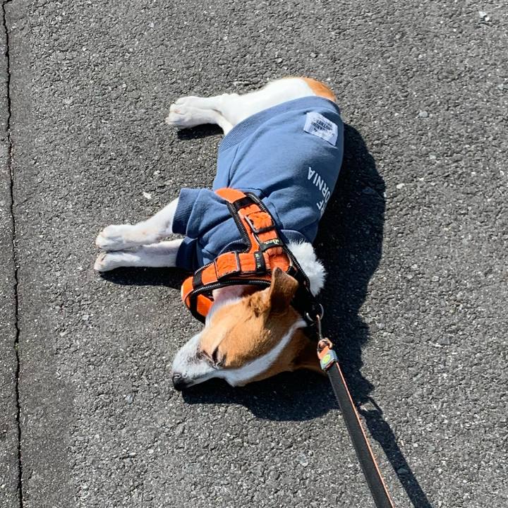 77949106 f3d5 47a6 ad3f f38f9d109735 1646445551340