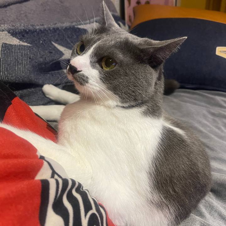 7794c779 4dce 496b a3cd 97abfe1d86d1 1655724825715