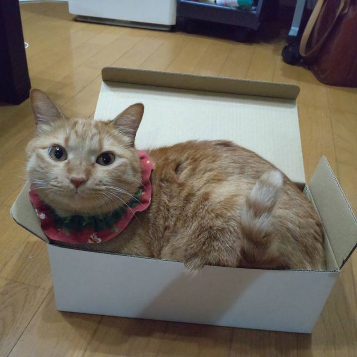 7795268a 3a03 482c b8ba 9aa9784dd268 1664436957105