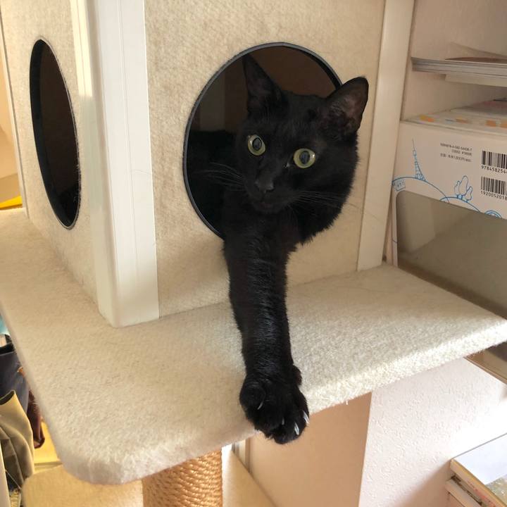 77952814 5a9a 4715 9ffd ccb01f6b4474 1594426948392