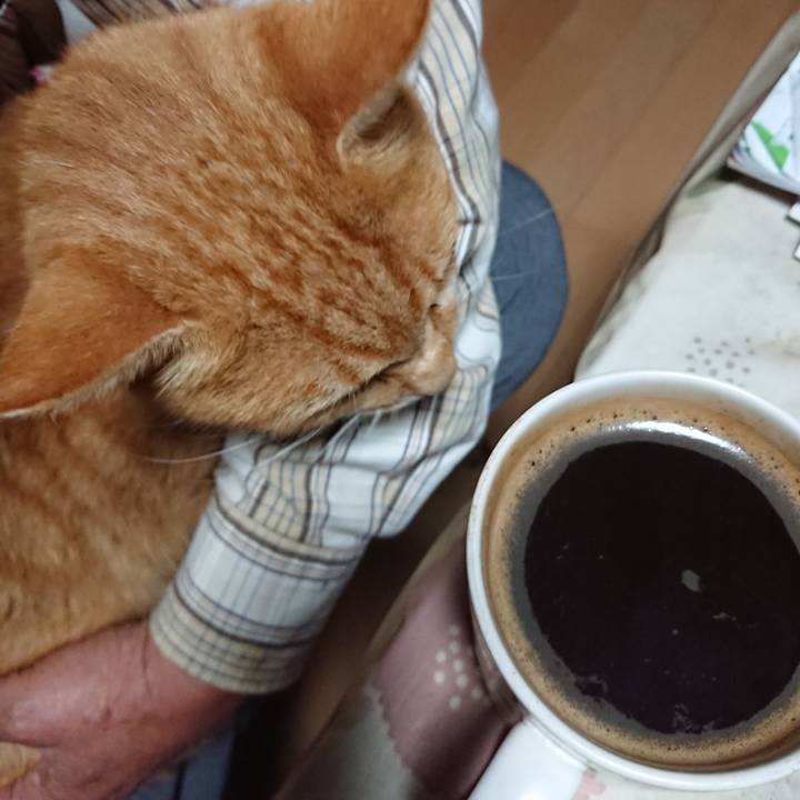 7795379c 6426 4b1a 9fd1 b8b8fb1a9a3c 1601153399279