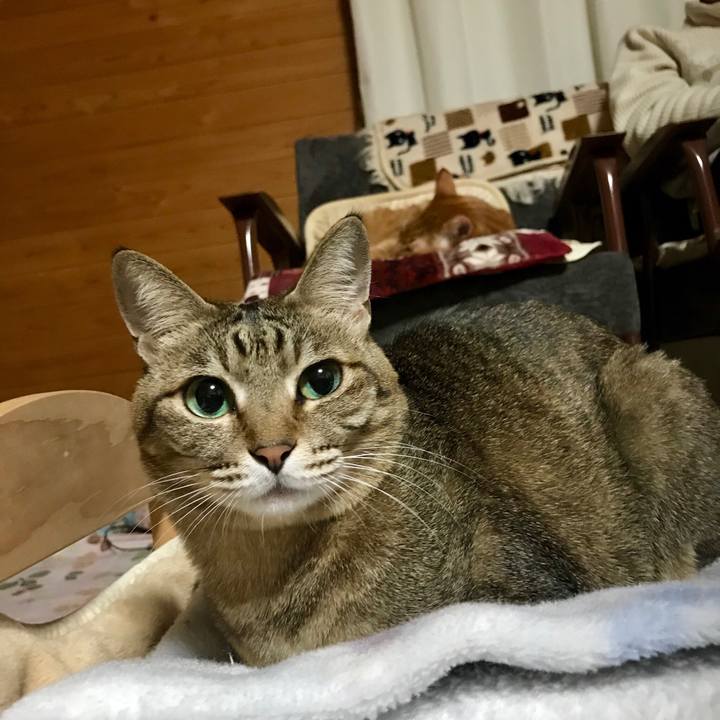 77953dcc 1b80 4e44 8faf b6aea5b87811 1548683051770