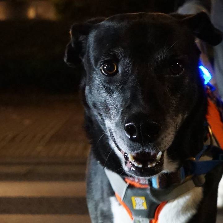 77955f21 426f 44c6 af8b 82d7f549d6f6 1762946556952