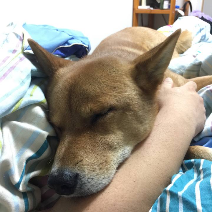 779566cf 4735 44dc 8af5 1fff54170d03 1544419863363