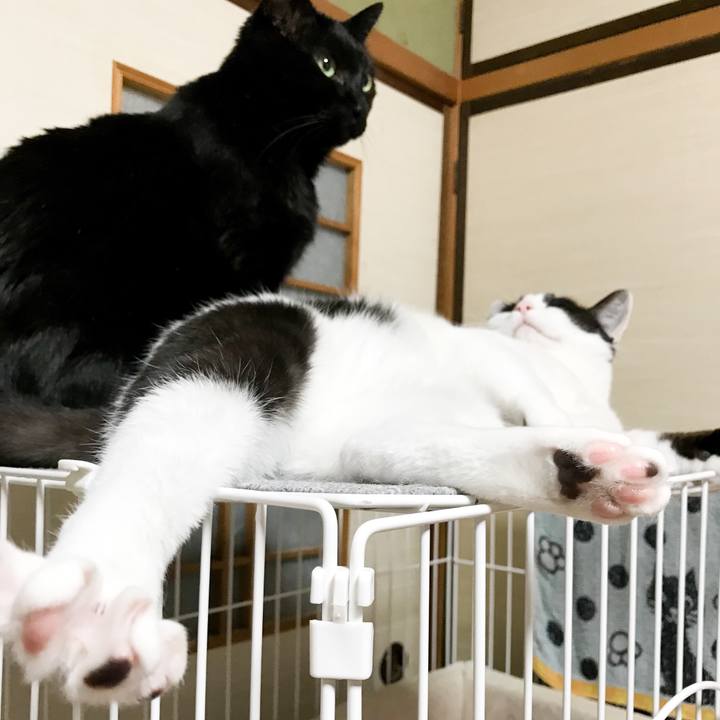 77957137 61fa 40b3 8a54 7e11b54b2b58 1524102460643