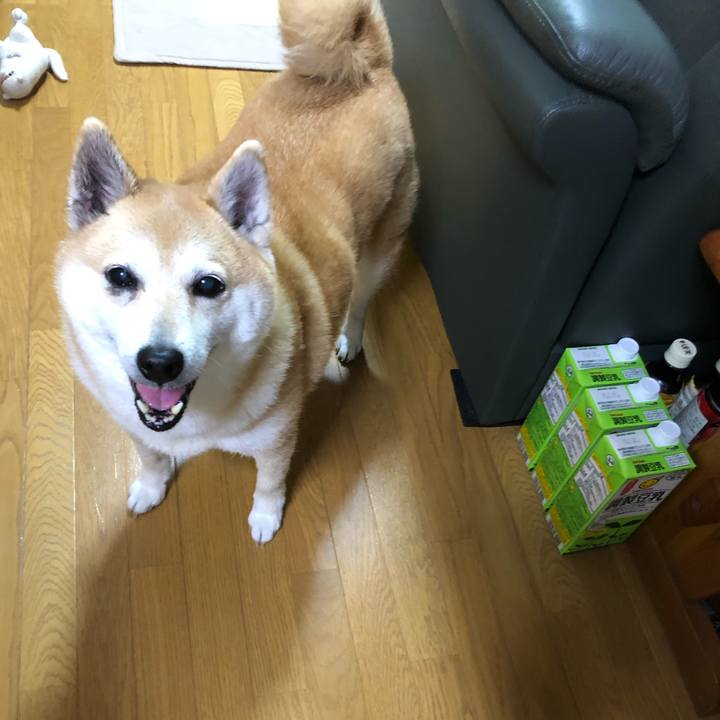 77958953 0464 4b93 a8fc 2fb0ba03fd4e 1588654090902