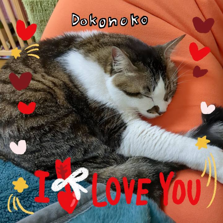 7795b9a2 8ba6 49e7 aaa3 a9a7b05e4f98 1706757030223