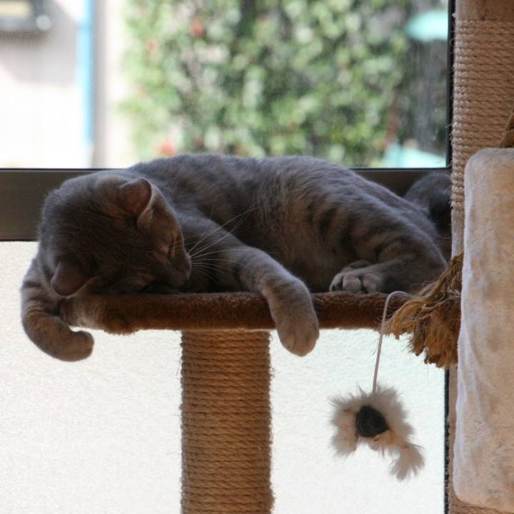 7795c002 7618 414b 8955 ff0eae2b34b7 1508941801663