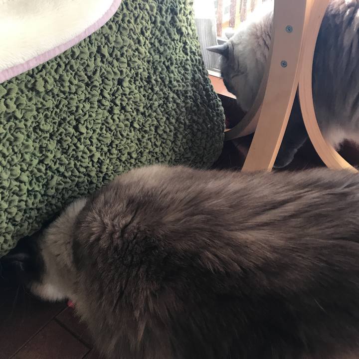 7795de32 4f70 473f a113 6857f436ead8 1512177973265