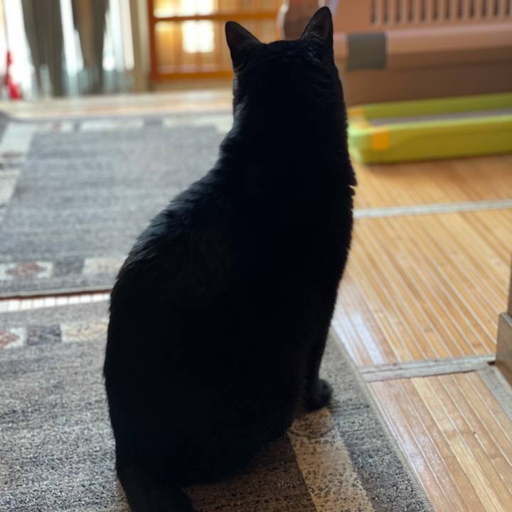 7795e915 911d 4f37 9c2a 887b2cb5eaa9 1614129869630