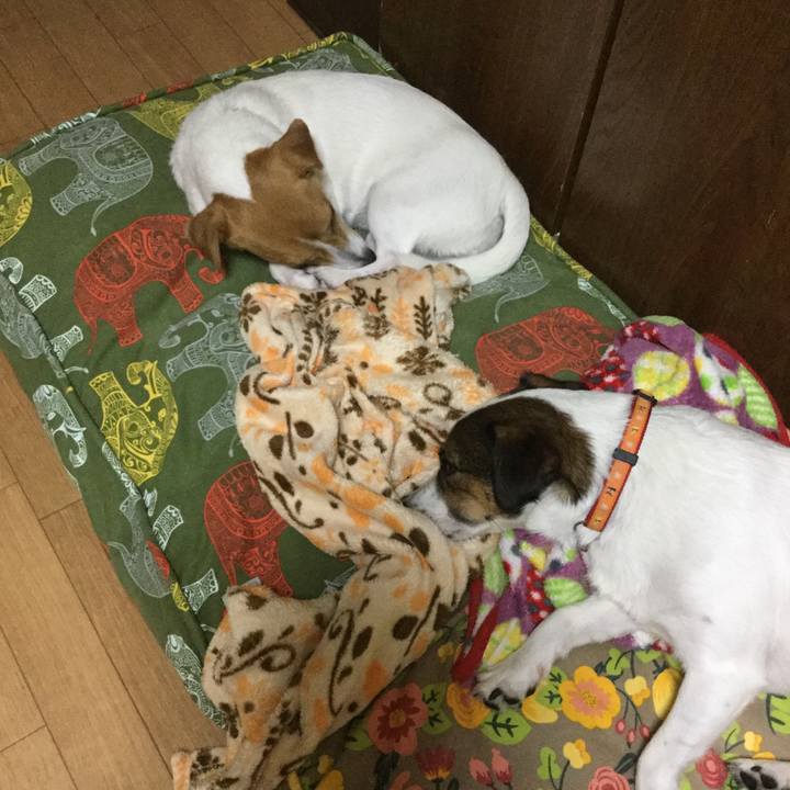 7795eb96 2440 438f bccc 28d3acd938c5 1535369957236