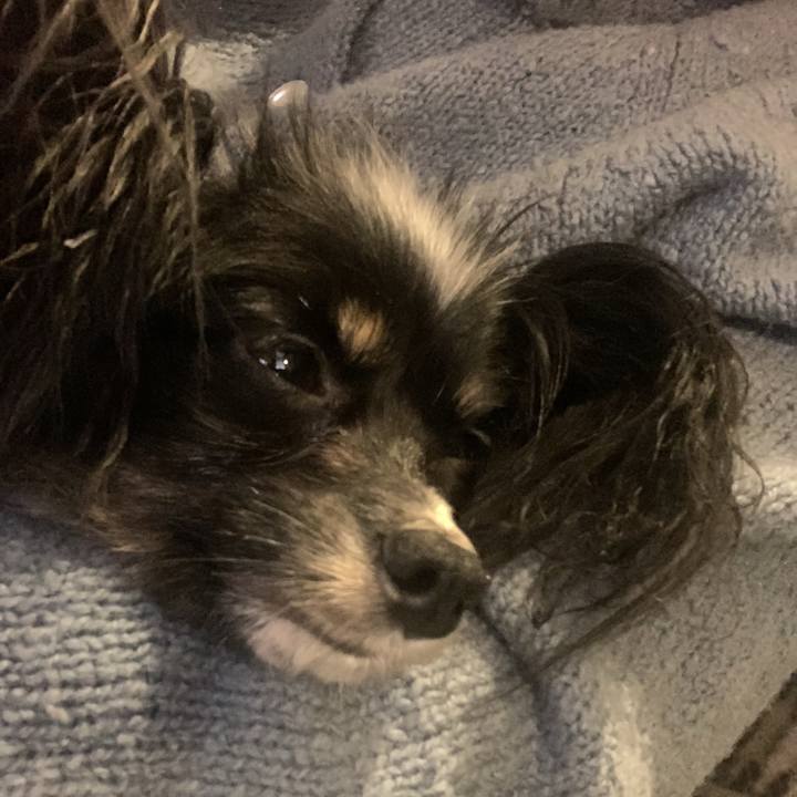 77960d7d 61e0 4a96 9b9f 55af82d67188 1610713969595