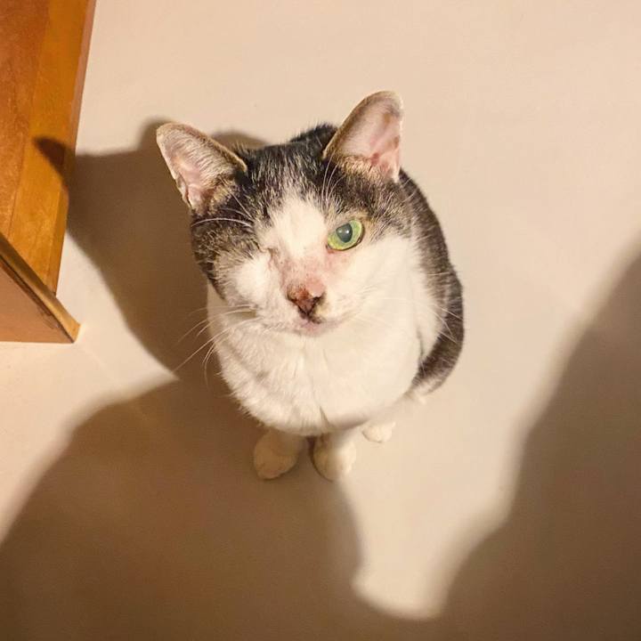 77968cf5 6bf1 41fe 822a 2ce53a5a79cc 1615464387229