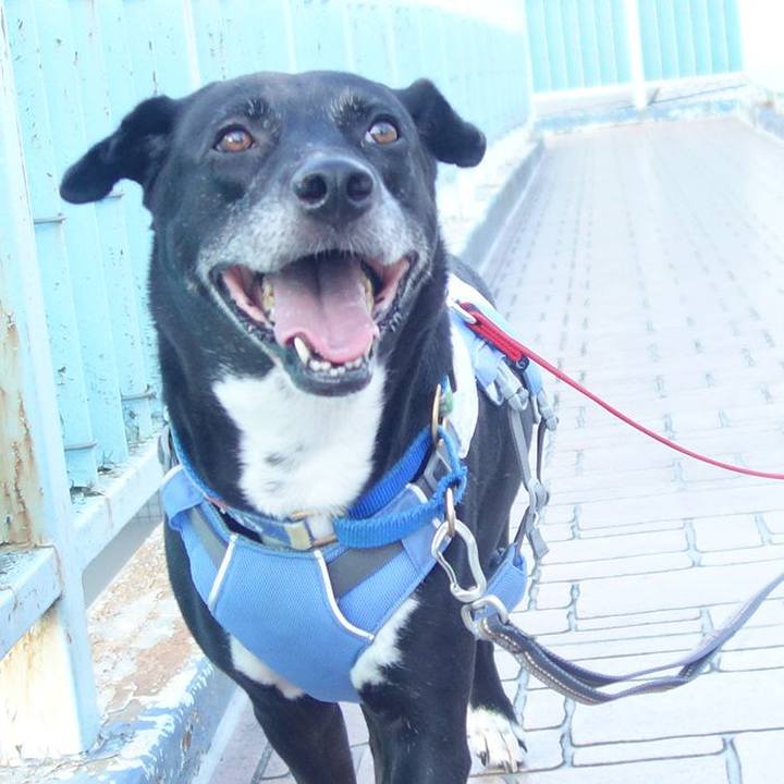 7796abeb a1d6 45ee b80c 689a70c4908d 1692403327163