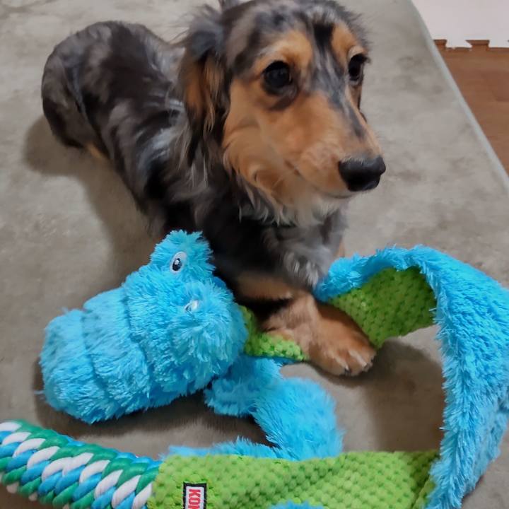 7796b992 48e9 4525 8ed3 988ce0226ba2 1709720457297