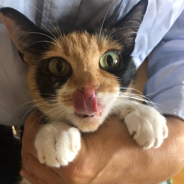 7796d649 961d 409d 8ac0 fe91a0032bfc 1587595221046