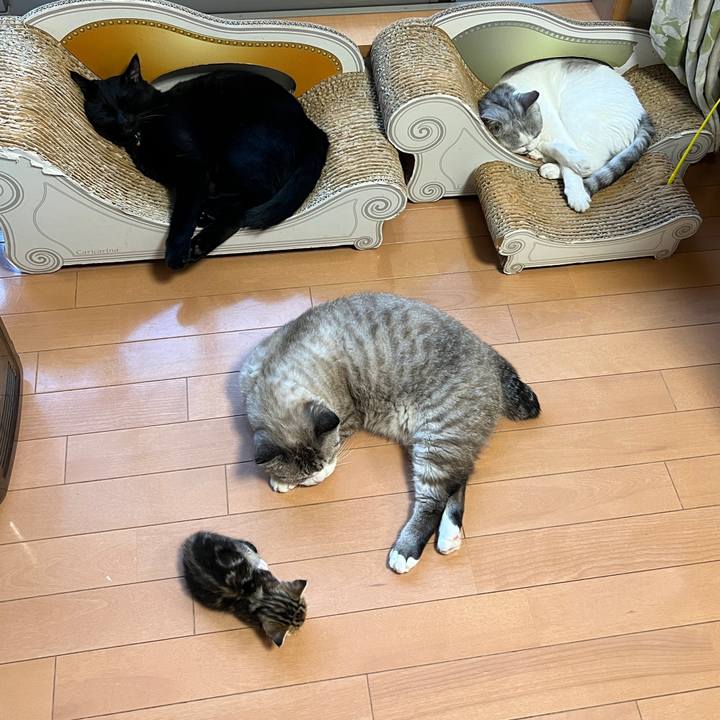 77970a30 6a02 437a 8b9f c14dfada6f75 1690517501013