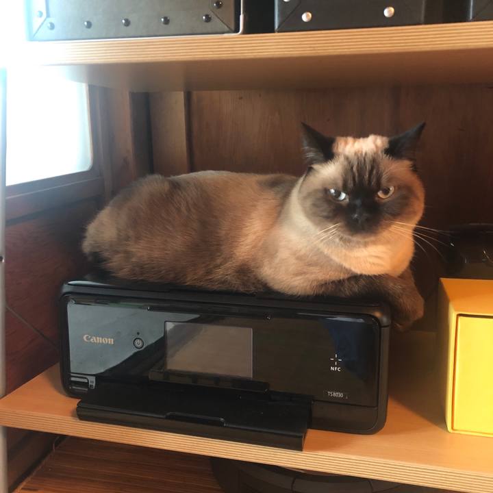 779719e4 a4b7 450f 8891 7eb3dba8365a 1631930420459