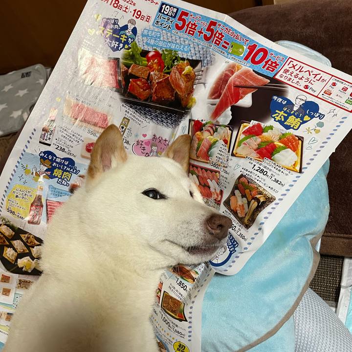 77976f0f 3873 4d04 9821 bba35216ed4e 1655915486710