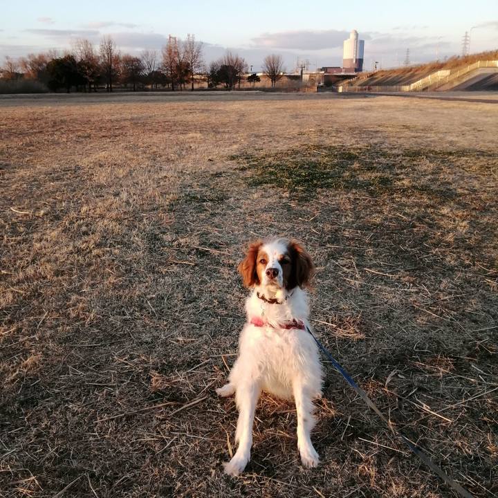 77978f98 d52e 4234 9bf4 3d8872e66e05 1610282067622