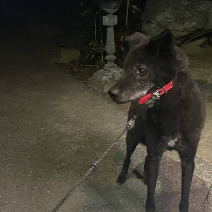 7797aee8 7911 4ebc a835 11aeab93e591 1723729094214