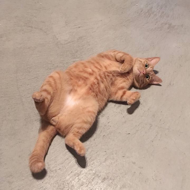 7797b7ba ba56 4e66 b277 ffd66b641d31 1564788486768