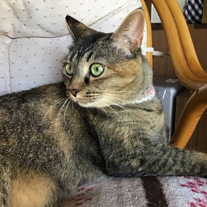 7797ee1b 5cdb 4564 9f14 96c50085c0b6 1660909644234