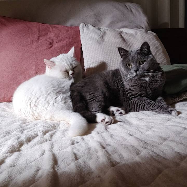 7797f286 e35c 4623 848b 91f551cabad3 1647769436394